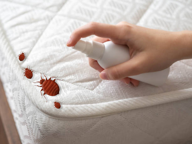 Best Local Pest Control Services  in Woodsi East, DE